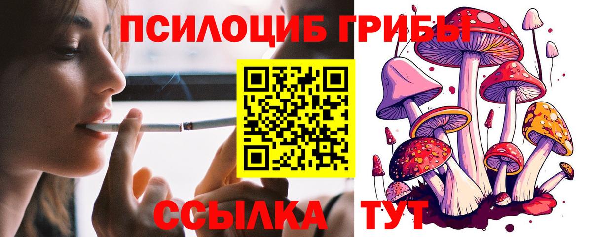 Добрянка  Галлюциногенные грибы Psilocybine cubensis  Вход с VPN  Галлюциногенные грибы ЛСД 